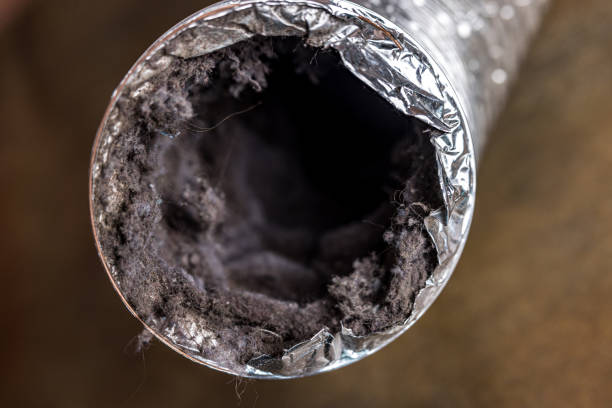 Air Duct Mold Removal in Salmon Brook, CT
